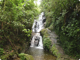 Cachoeiras do Santurio - Hotel Pousada Vale das Hortnsias - Visconde de Mau